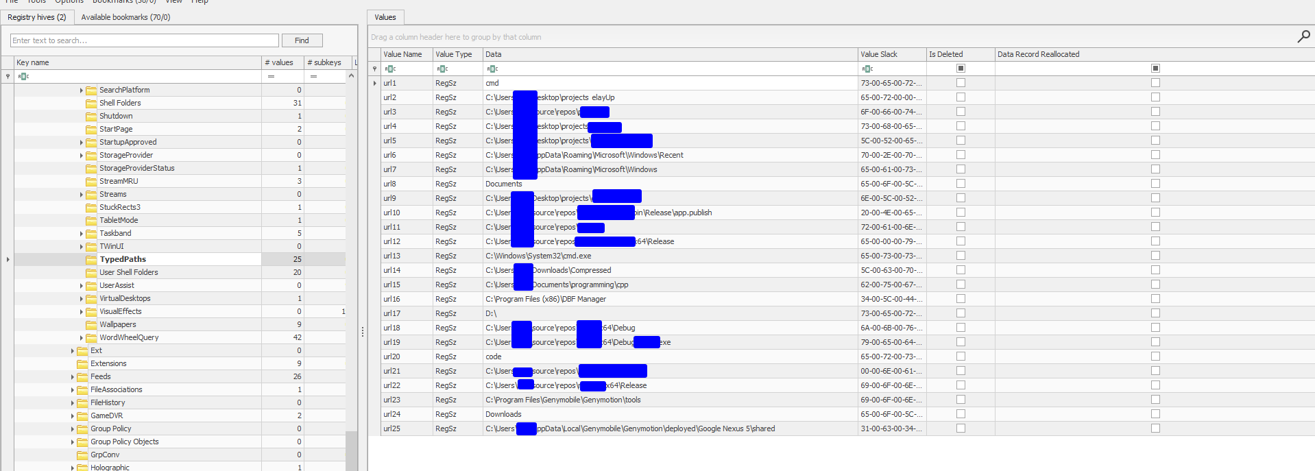registry-typedpaths.png